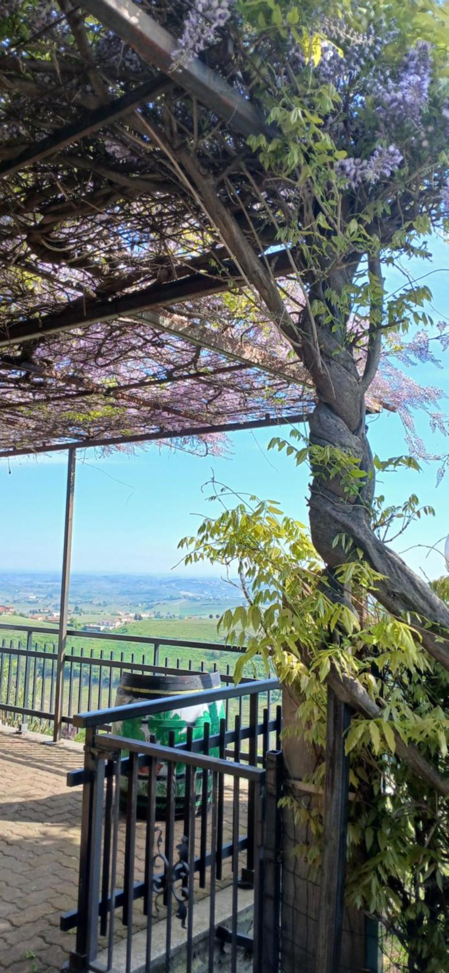 Casa Vacanza Il Colle Del Vento Calosso エクステリア 写真